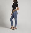 Suki Mid Rise Skinny Jeans, Indigo, hi-res image number 2