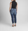 Boyfriend Mid Rise Slim Leg Jeans Plus Size, , hi-res image number 1