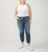 Elyse Mid Rise Straight Leg Ankle Jeans Plus Size, , hi-res image number 0