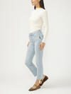 Isbister High Rise Ankle Straight Leg  Luxe Stretch Jeans image number 2