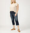 Elyse Mid Rise  Luxe Stretch Capri Plus Size, , hi-res image number 2