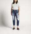 Boyfriend Mid Rise Slim Leg Jeans Plus Size, , hi-res image number 0