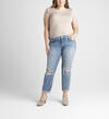 Boyfriend Mid Rise Slim Leg Jeans Plus Size, , hi-res image number 0