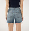 Highly Desirable High Rise Shorts, , hi-res image number 4