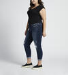 Suki Mid Rise Skinny Jeans Plus Size, , hi-res image number 2