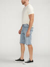 Gordie Relaxed Fit Shorts image number 0
