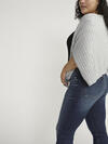 Avery High Rise Straight Leg Jeans Plus Size, , hi-res image number 2