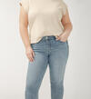 Suki Mid Rise Straight Crop Luxe Stretch Jeans Plus Size, , hi-res image number 3