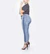 Aiko Plus Size Ankle Skinny Medium Wash, , hi-res image number 2