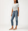 Elyse Mid Rise Straight Leg Ankle Jeans, , hi-res image number 2