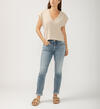 Boyfriend Mid Rise Slim Leg Jeans, , hi-res image number 0