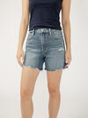 Highly Desirable High Rise Shorts image number 3