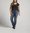 Avery High Rise Straight Leg Jeans Plus Size, , hi-res image number 0