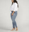 Britt Low Rise Skinny Leg Jeans Plus Size, , hi-res image number 2