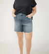 Highly Desirable High Rise Long Shorts Plus Size, , hi-res image number 4