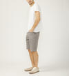 Zac Relaxed Fit Shorts, Grey, hi-res image number 2