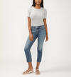 Elyse Mid Rise Straight Leg Ankle Jeans, , hi-res image number 0
