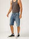 Gordie Relaxed Fit Shorts image number 2