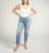 Isbister High Rise Straight Leg Jeans Plus Size, , hi-res image number 0