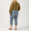 Suki Mid Rise Luxe Stretch Capri Plus Size, , hi-res image number 1