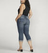 Avery High Rise Capri Plus Size, , hi-res image number 1
