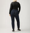 Isbister High Rise Straight Leg Jeans Plus Size, , hi-res image number 1