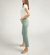 Isbister High Rise Straight Leg Jeans, Sage, hi-res image number 2