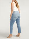 Isbister High Rise Straight Leg Jeans Plus Size image number 1