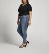 Suki Mid Rise Skinny Jeans Plus Size, Indigo, hi-res image number 2
