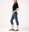 Suki Mid Rise Luxe Stretch Capri, , hi-res image number 2