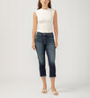 Avery High Rise Luxe Stretch Capri, , hi-res image number 0