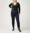 Isbister High Rise Straight Leg Jeans Plus Size, , hi-res image number 0