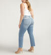 Isbister High Rise Straight Leg Jeans Plus Size, , hi-res image number 1