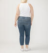 Elyse Mid Rise Straight Leg Ankle Jeans Plus Size, , hi-res image number 1