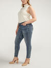 Suki Mid Rise Skinny Jeans Plus Size, , hi-res image number 2