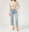 Mid Rise Relaxed Straight Leg Jeans, , hi-res image number 5