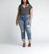 Elyse Mid Rise Ankle Slim Leg Jeans, , hi-res image number 3