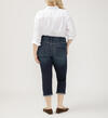 Avery High Rise Luxe Stretch Capri Plus Size, , hi-res image number 0