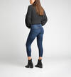 Avery High-Rise Curvy Skinny Crop Jeans, , hi-res image number 1