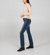 Elyse Mid Rise Straight Leg Jeans, , hi-res image number 2