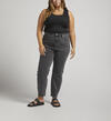 Highly Desirable High Rise Straight Leg Jeans Plus Size, Black, hi-res image number 0