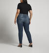 Elyse Mid Rise Straight Leg Jeans Plus Size, , hi-res image number 1