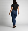 Avery High-Rise Curvy Skinny Jeans, , hi-res image number 1