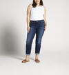 Boyfriend Mid Rise Slim Leg Jeans Plus Size, , hi-res image number 0