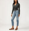 Isbister High Rise Ankle Straight Leg  Luxe Stretch Jeans, Stevie, hi-res image number 2