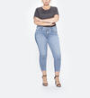 Aiko Plus Size Ankle Skinny Medium Wash, , hi-res image number 0
