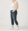 Suki Mid Rise Straight Leg Jeans Plus Size, Chord, hi-res image number 2