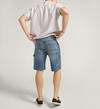 Relaxed Painter Shorts, , hi-res image number 1