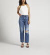 Highly Desirable High Rise Straight Leg Jeans, , hi-res image number 0