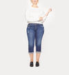 Suki Capri Dark Wash, , hi-res image number 0